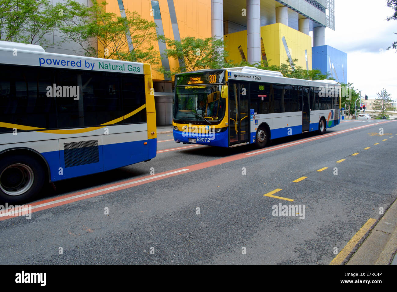 Brisbane Bus del Consiglio Foto Stock