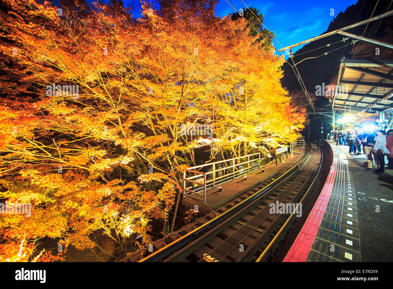 Kyoto, Giappone - 22 Novembre 2013: Kifune Santuario è un santuario shintoista situato a SakyO-ku a Kyoto, Giappone Foto Stock