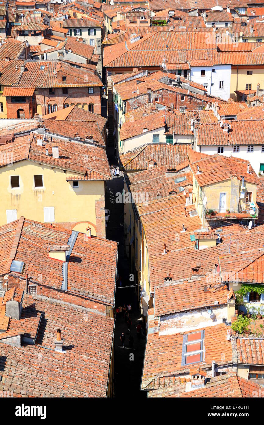 Rossi tetti in terracotta della città di Lucca, Italia Foto Stock