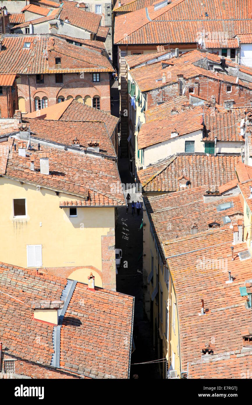 Rossi tetti in terracotta della città di Lucca, Italia Foto Stock