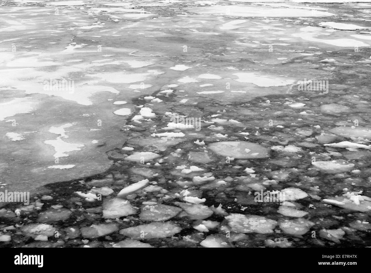 Ricongelare Pack ghiaccio, il cosiddetto Pancake Ice, il Mare di Ross, Antartide. Foto Stock