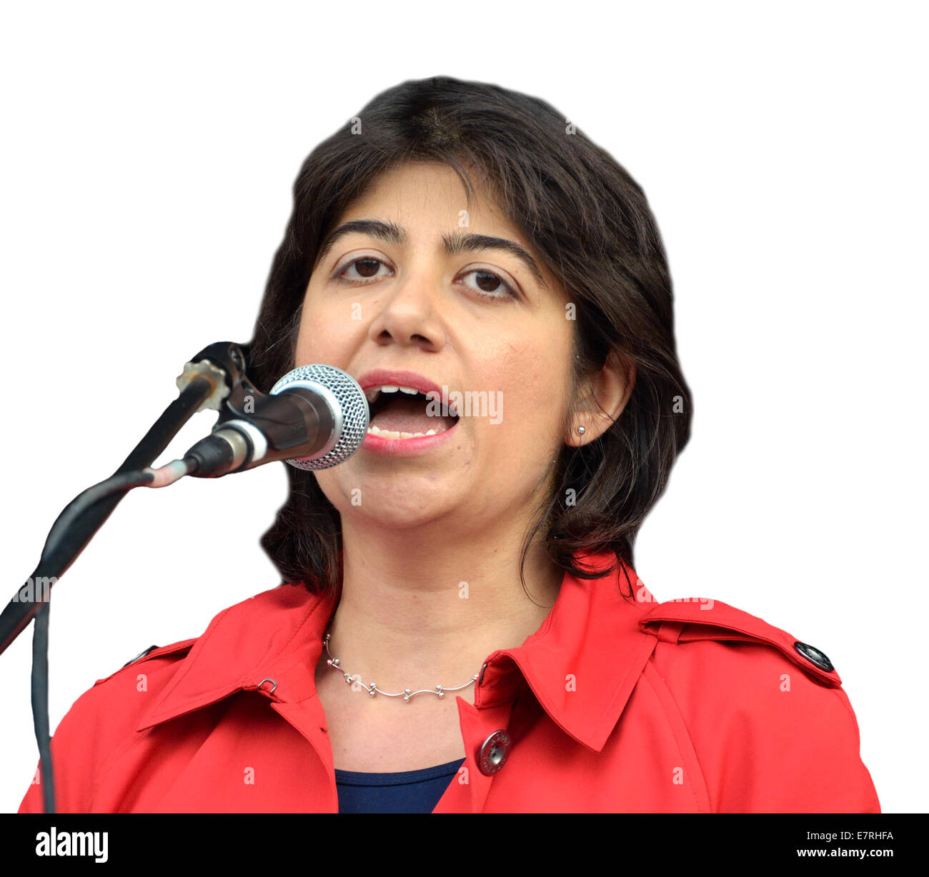 Seema Malhotra MP (manodopera, Feltham e Heston) ombra anti violenza domestica il ministro, 2014 Foto Stock