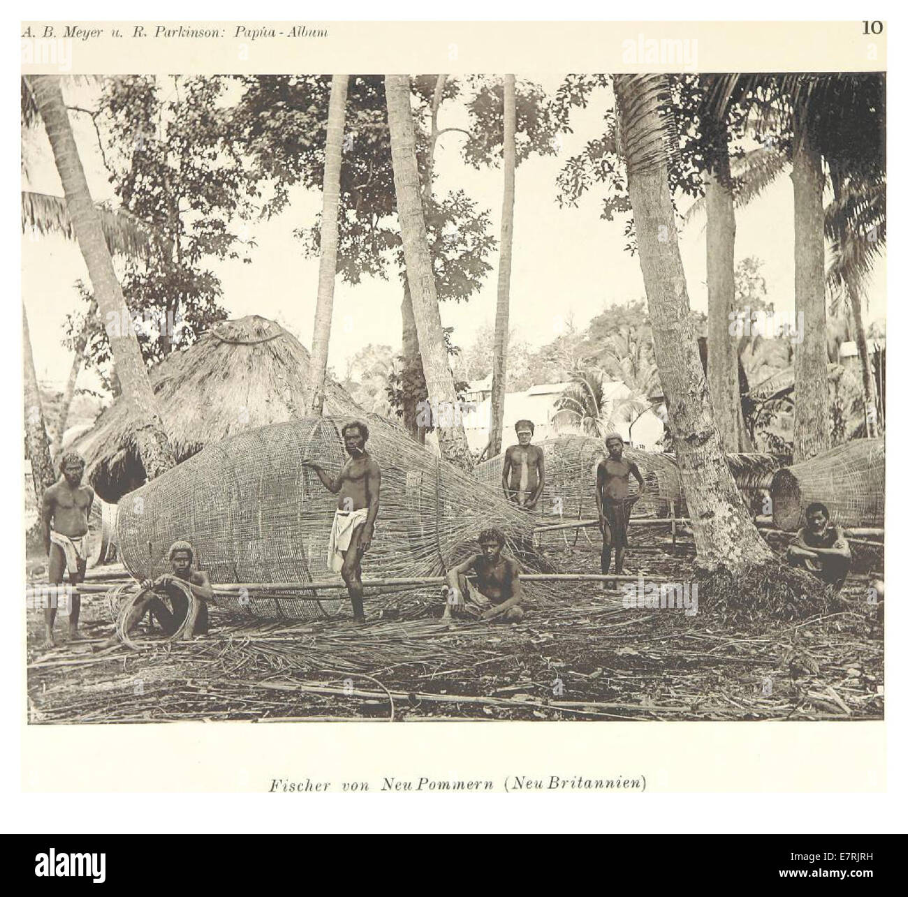 Un'illustrazione della collezione del XIX secolo raffigurante vari tipi di persone di Papua, che mostra la diversità culturale e i dettagli antropologici della regione. Foto Stock