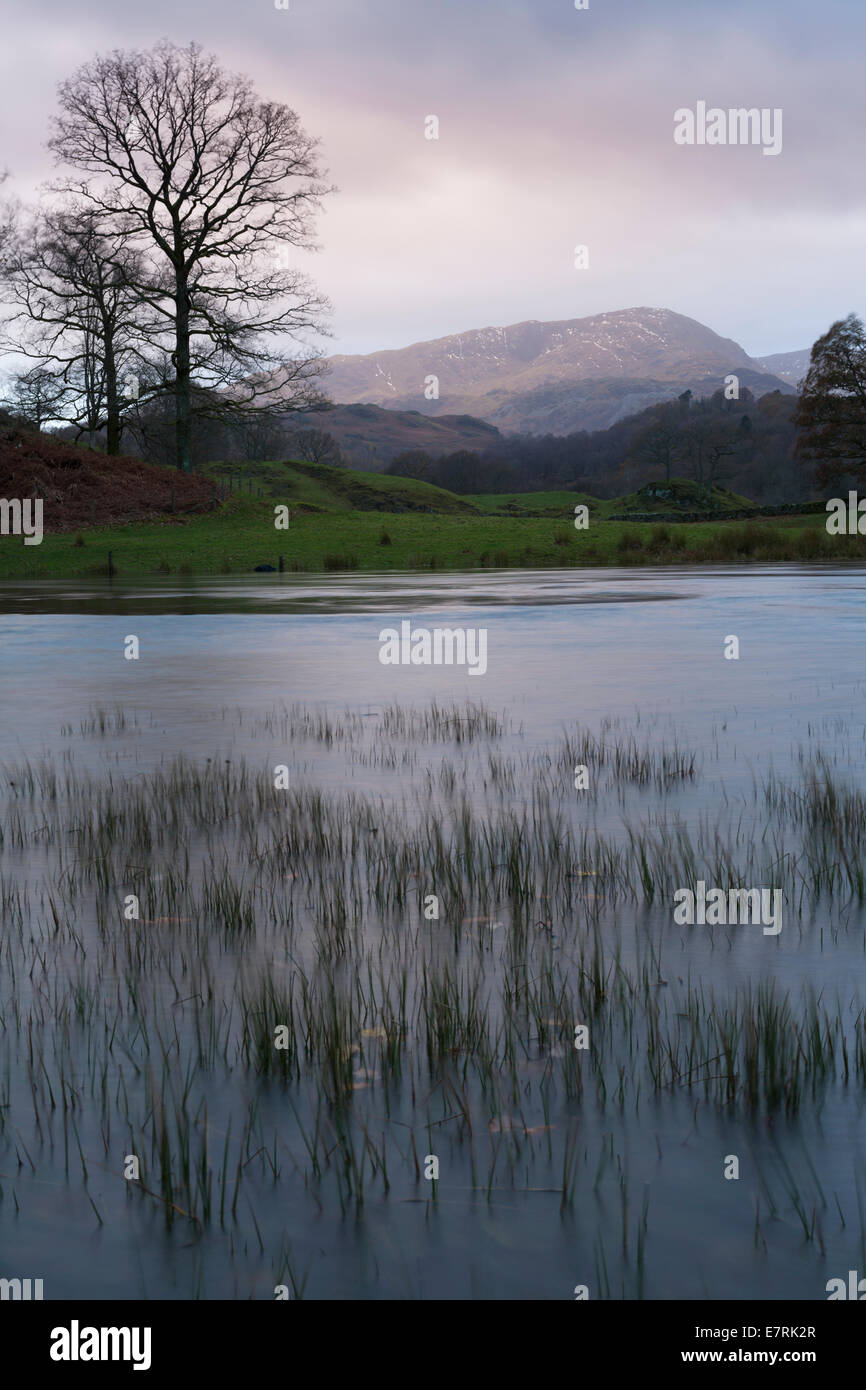 Furness Fells dal fiume Brathey, Elterwater, Lake District, Cumbria, Regno Unito Foto Stock