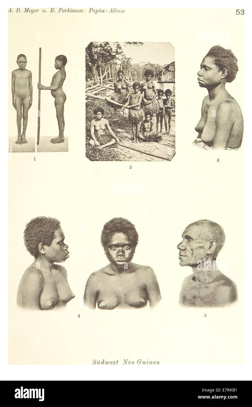 Questa illustrazione di *Papua-Typen* (tabella 53) offre una rappresentazione visiva delle popolazioni indigene e della cultura della Papua nuova Guinea, concentrandosi sul loro abbigliamento e costumi tradizionali. Foto Stock