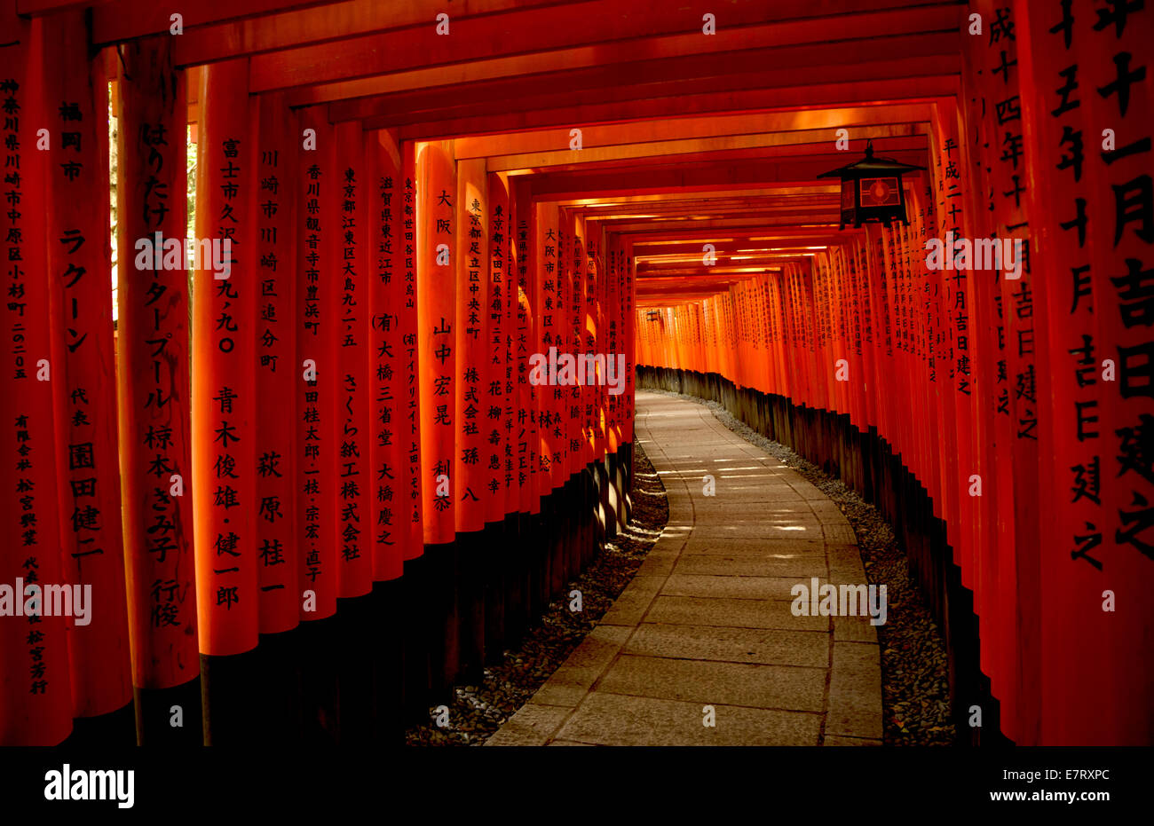 Fushimi Inari Taisha a Kyoto è famosa per le innumerevoli rosso cinabro Torii gates. Il Torii gate sono le donazioni di c Foto Stock