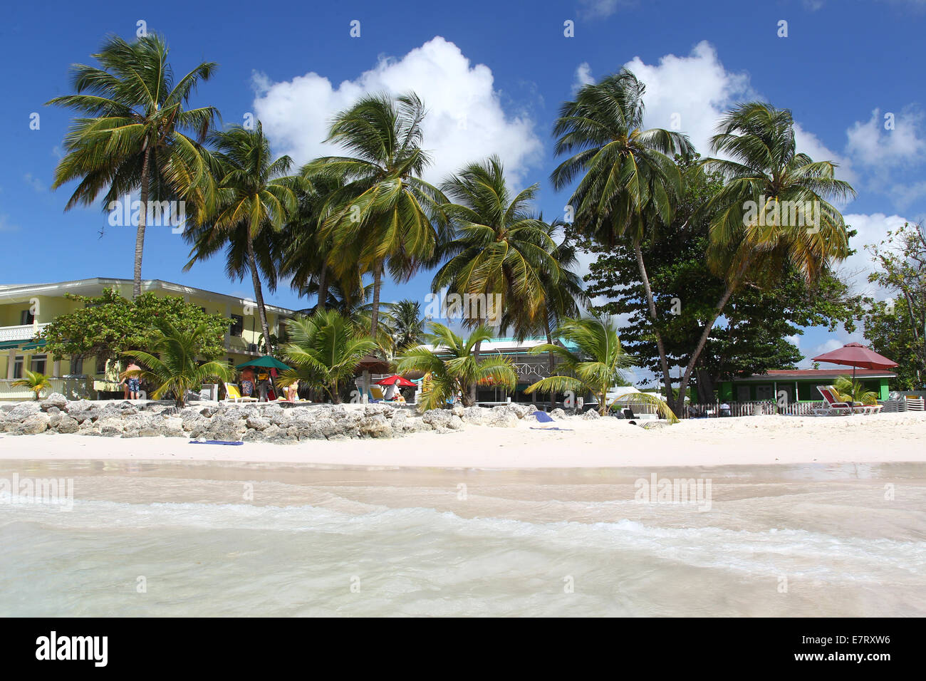 Spiaggia caraibica, palme, sabbia, noci di cocco, cielo blu Foto Stock