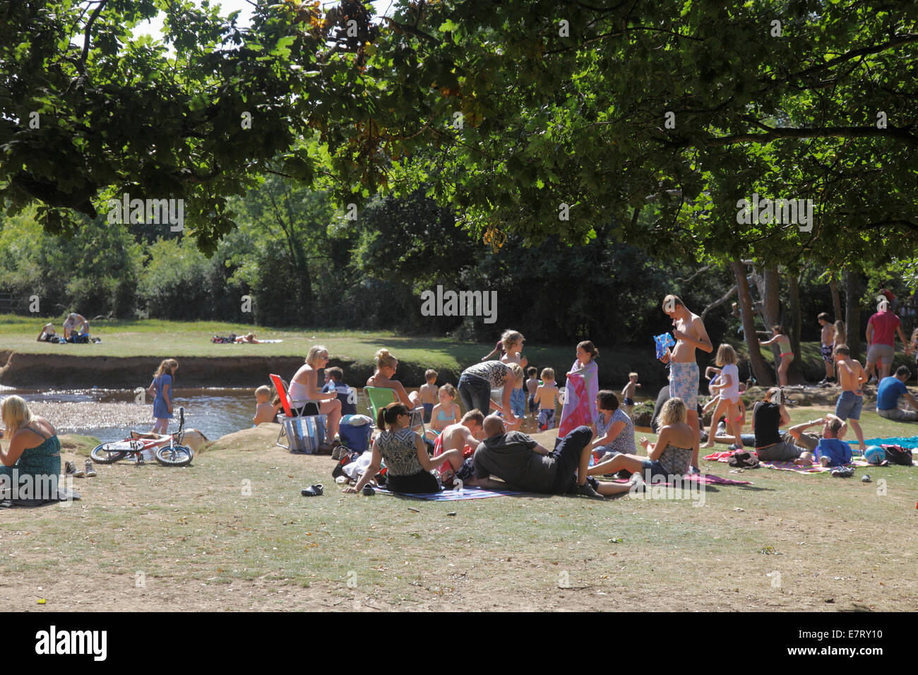 Nuova Foresta e l'Altopiano del flusso di acqua vicino a Brockenhurst Hampshire Foto Stock