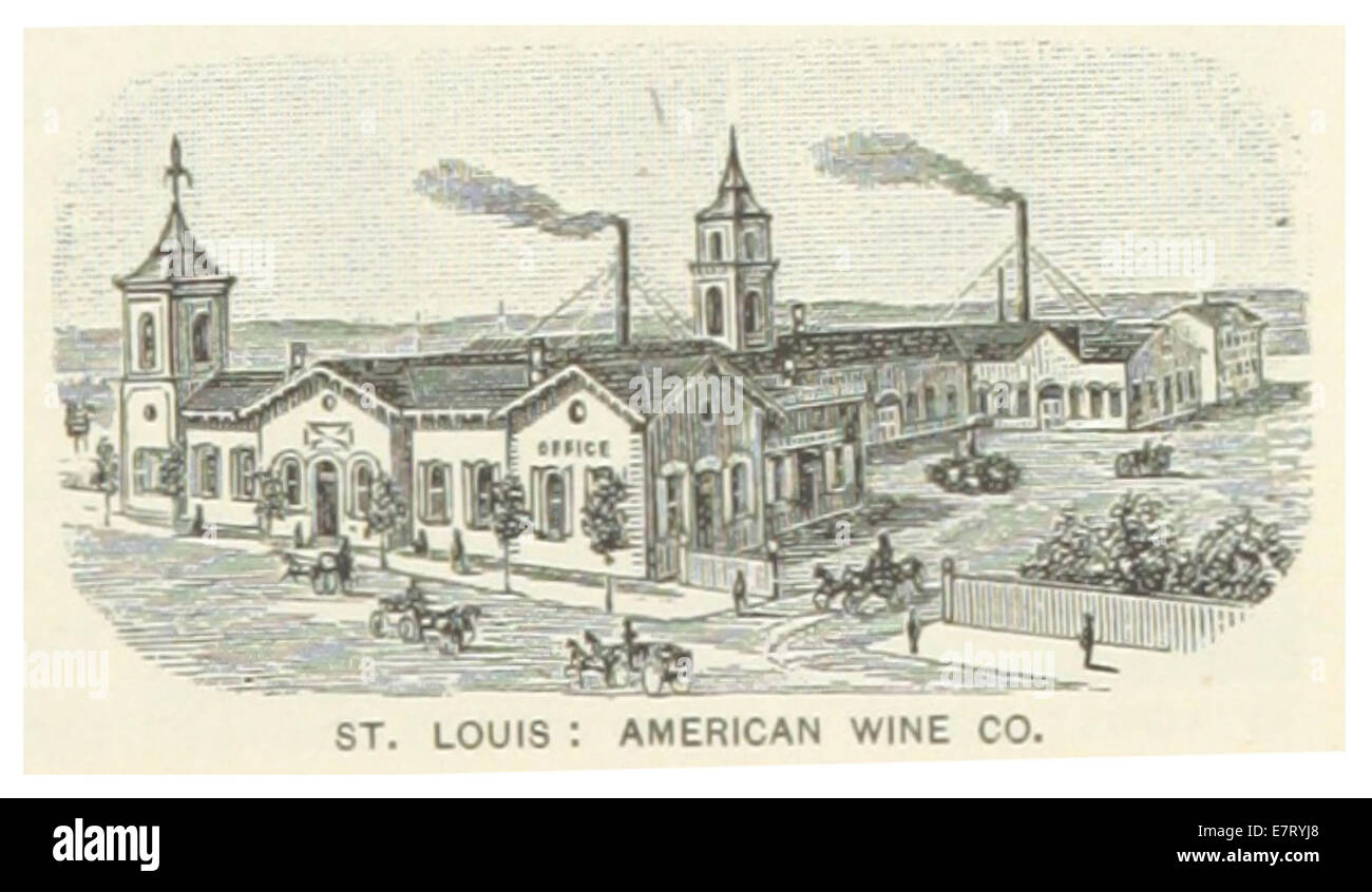 Un'illustrazione del 1891 dell'American Wine Company di St. Louis, Missouri, che sottolinea il suo ruolo nell'industria vinicola del XIX secolo. Foto Stock