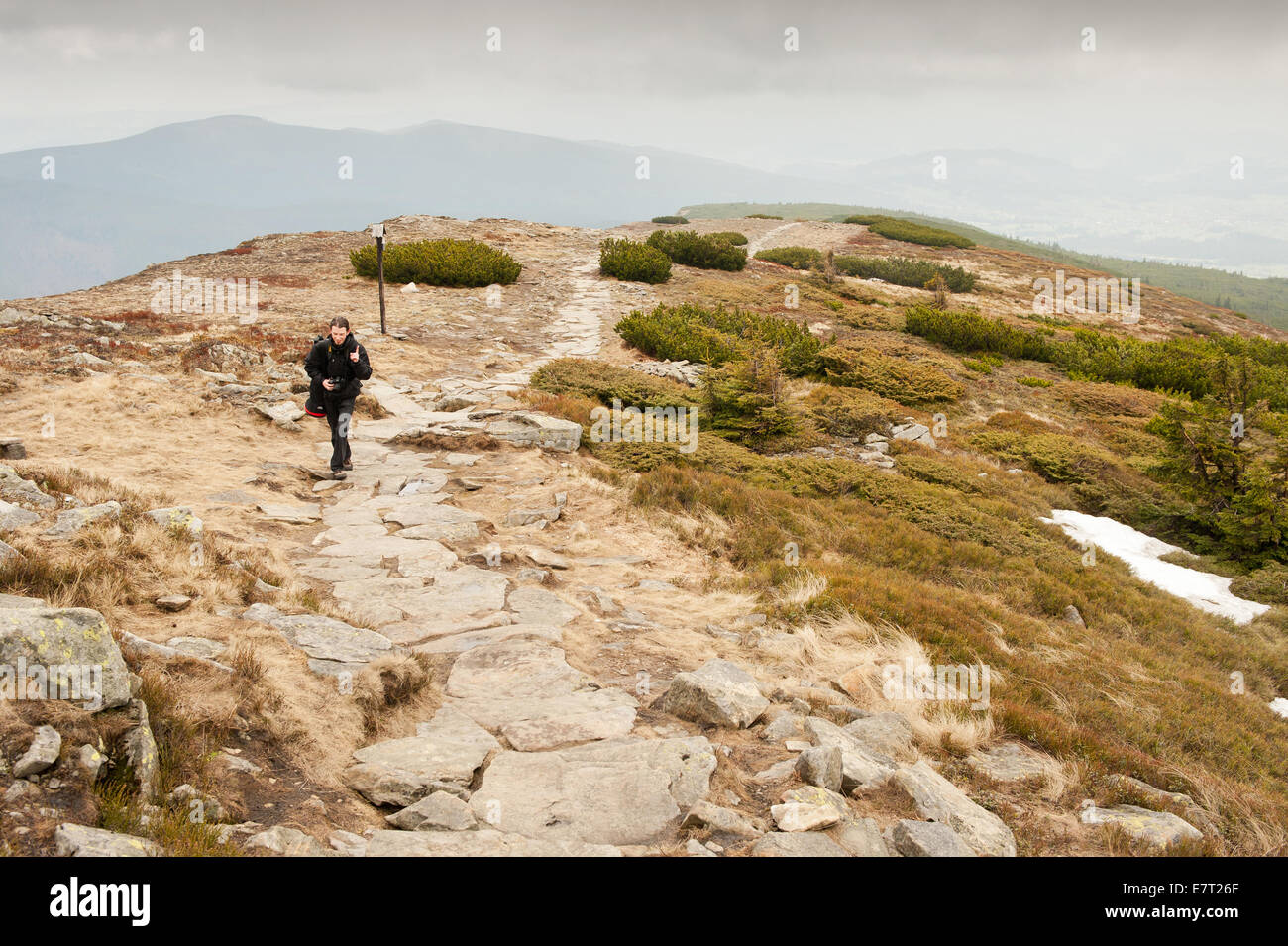 Turista solitario trekking in Babia Gora Foto Stock