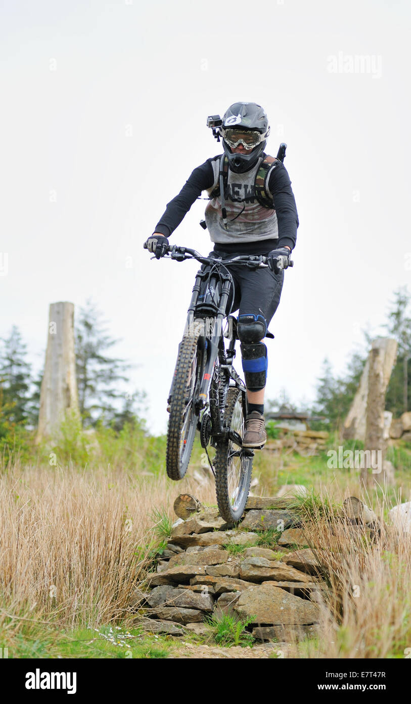 Discesa con la mountain bike a Gisburn Forest centro di prova Foto Stock