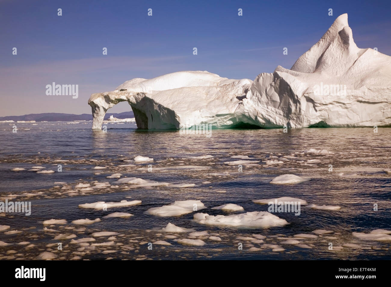 Un delicate arch di ghiaccio crolla da un gigantesco iceberg staccato dal ghiacciaio Sermeq Kujalleq (ghiacciaio Jacobshavn) Foto Stock