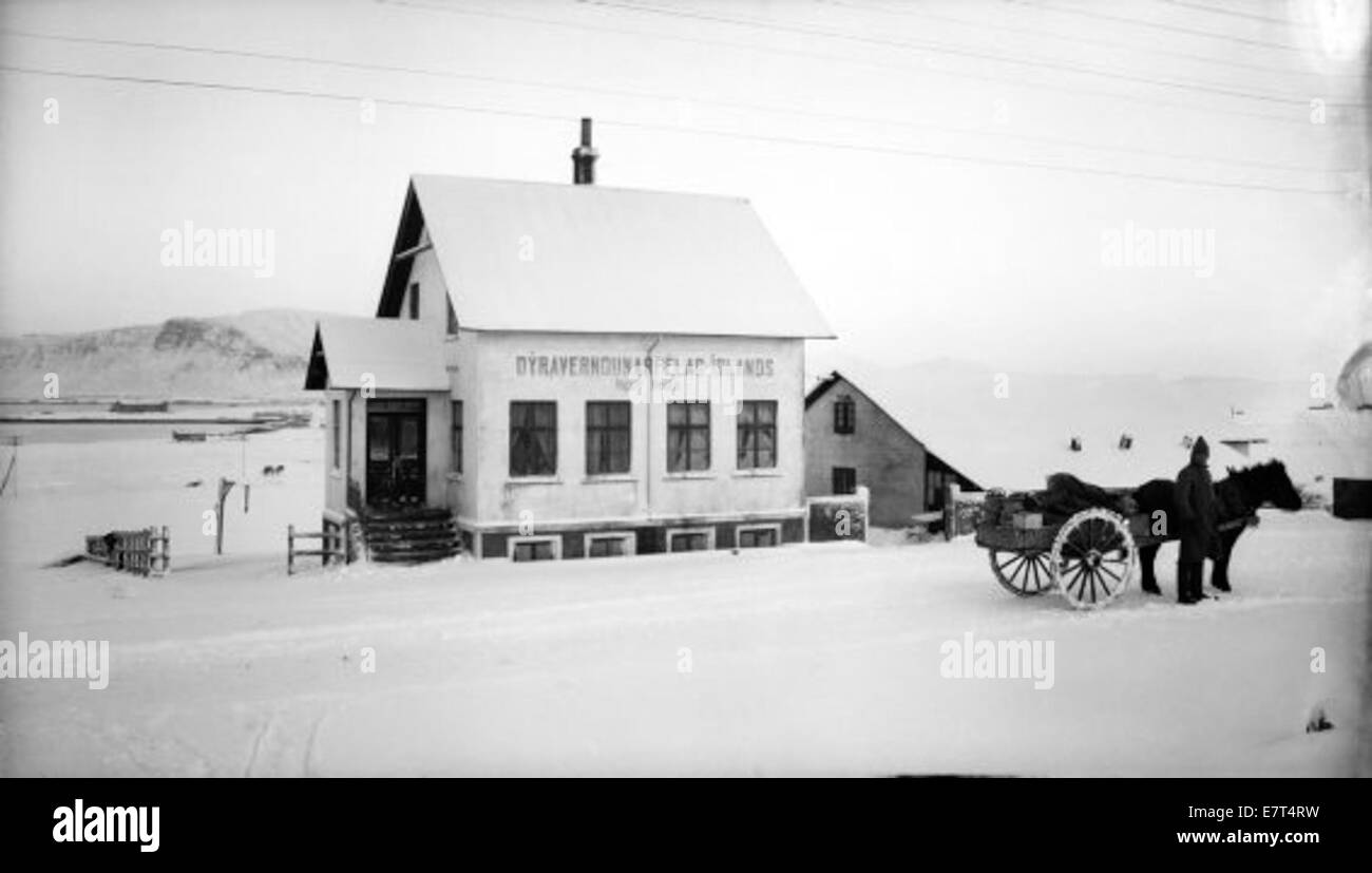 Una fotografia storica di Reykjavik, Islanda, intorno al 1920-1930, che mostra la via Laugavegur in inverno. L'immagine presenta un carro trainato da cavalli con neve sul terreno, che illustra i metodi di trasporto utilizzati in quel periodo a Reykjavik. Foto Stock