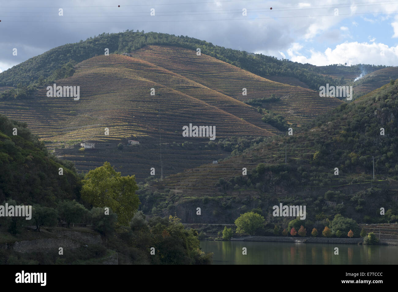 Vista della Quinta da Foz, vicino a Pinhao, Valle del Douro, Portogallo Foto Stock