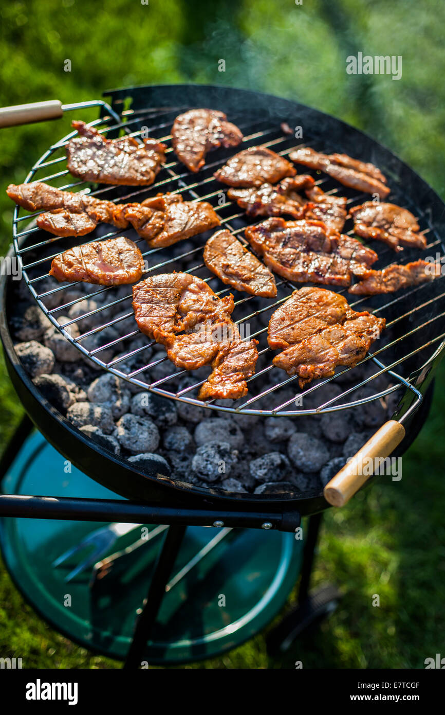 Barbecue in giardino, davvero gustosa cena! Foto Stock