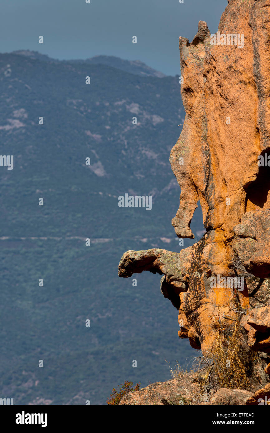 Bizzarre erosioni rock, Calanche, Les Calanches de Piana, Corse-du-Sud, Corsica, Francia Foto Stock