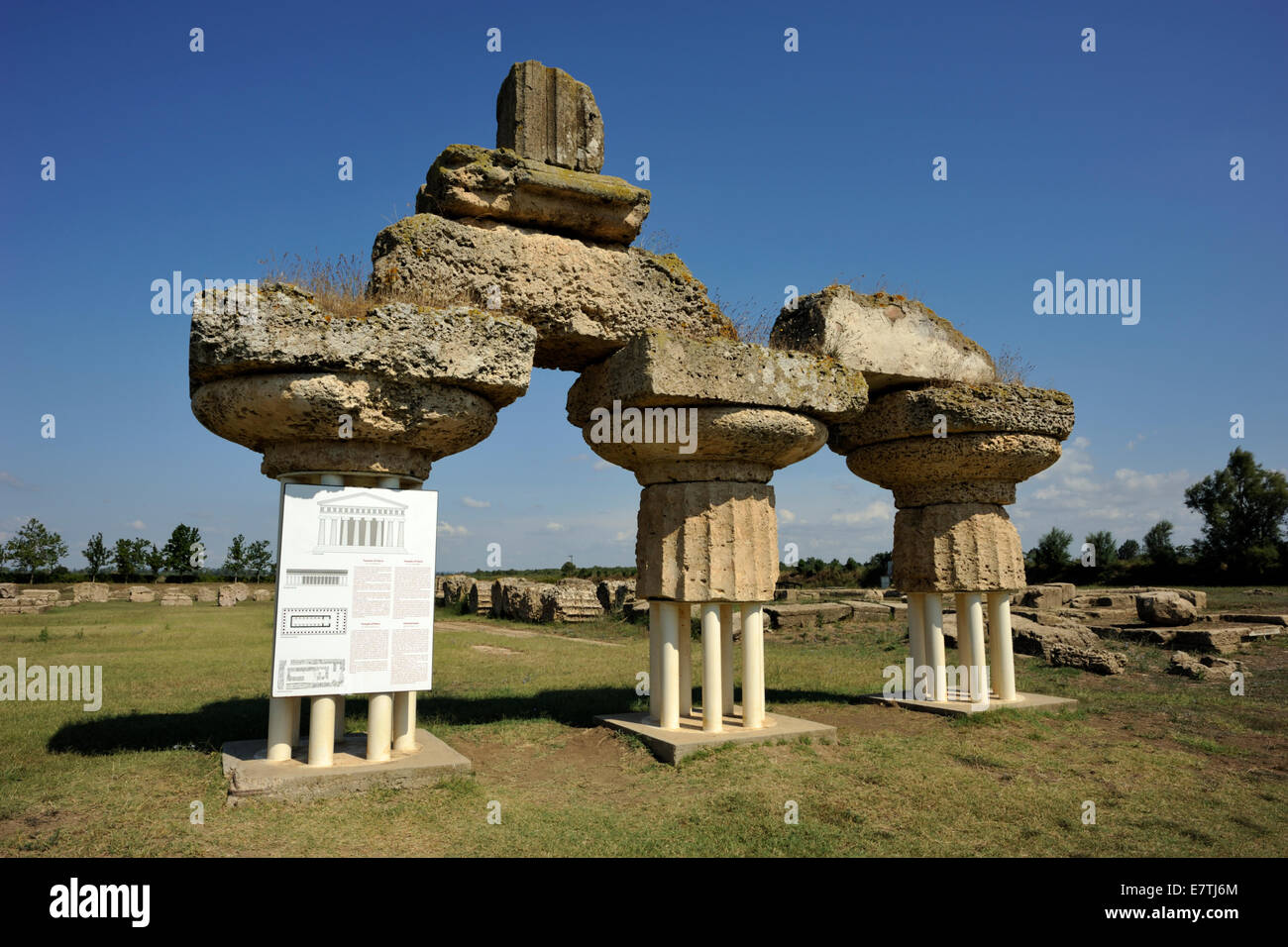 Italia, Basilicata, Metaponto, tempio greco di era (tempio A), colonne doriche (570-530 a.C.) Foto Stock