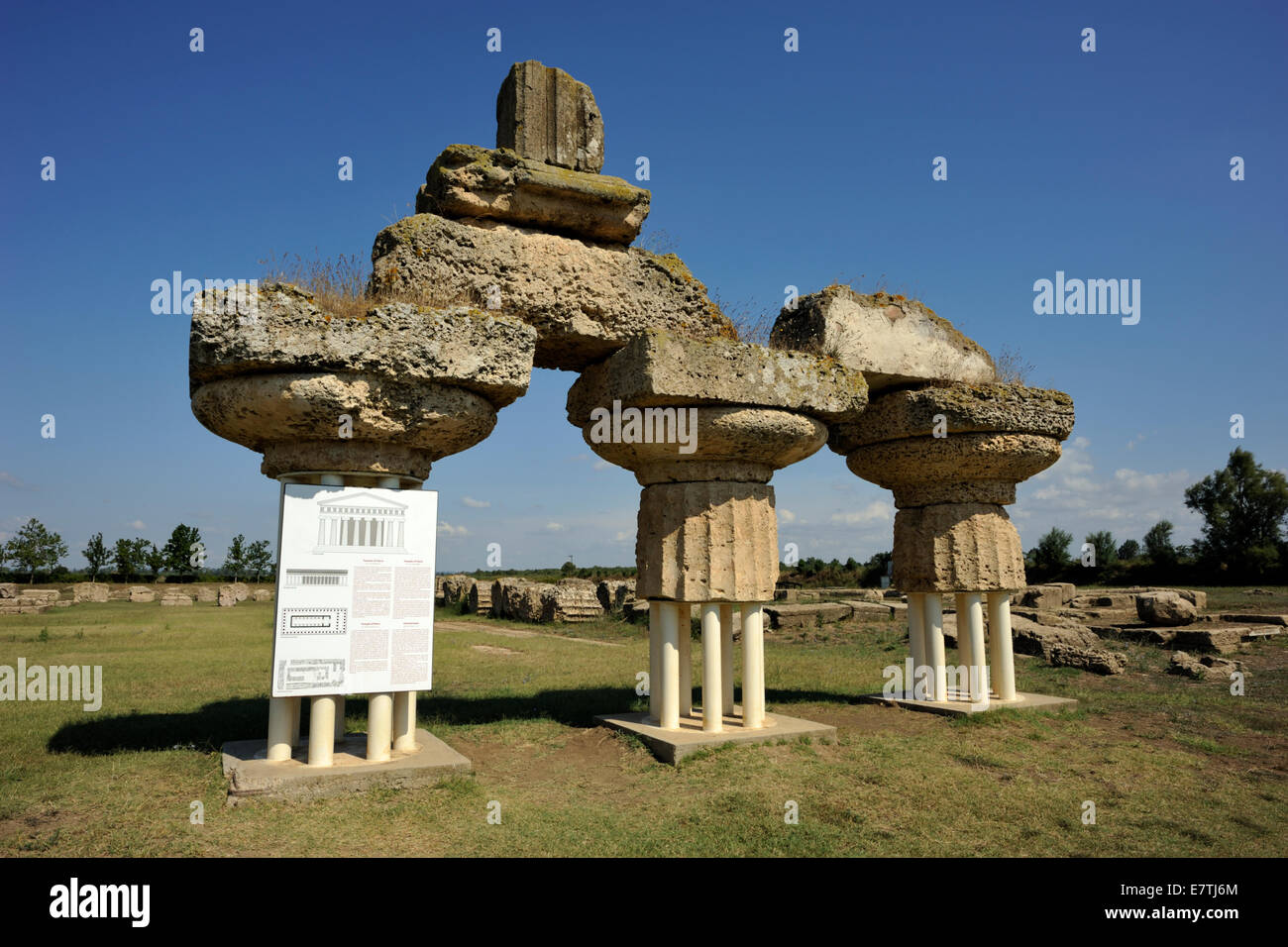 Italia, Basilicata, Metapontum (Metaponto), tempio greco di era (tempio A), colonne doriche (570-530 a.C.) Foto Stock
