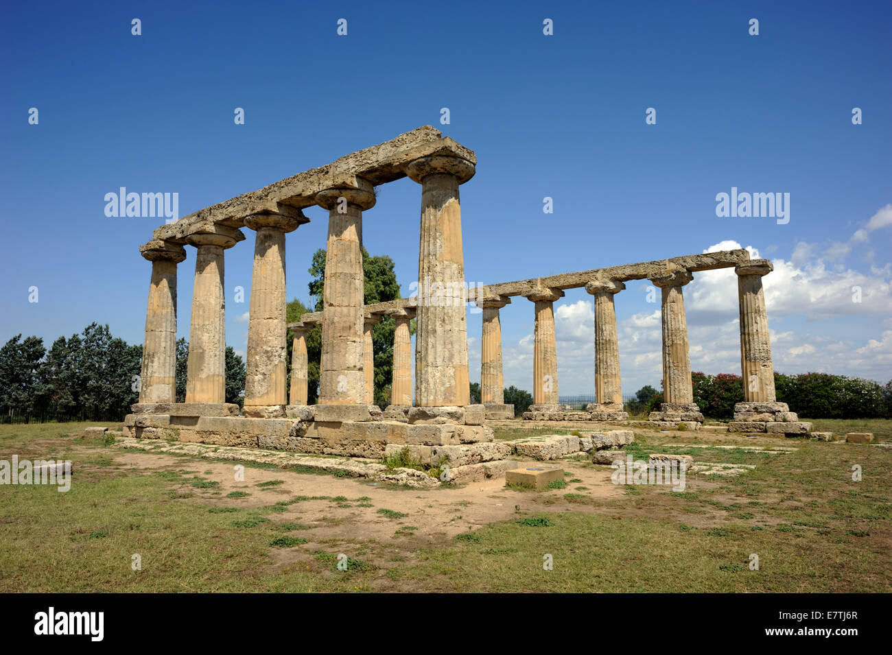 Italia, Basilicata, Metaponto, Tavole Palatine, tempio greco di Hera Foto Stock