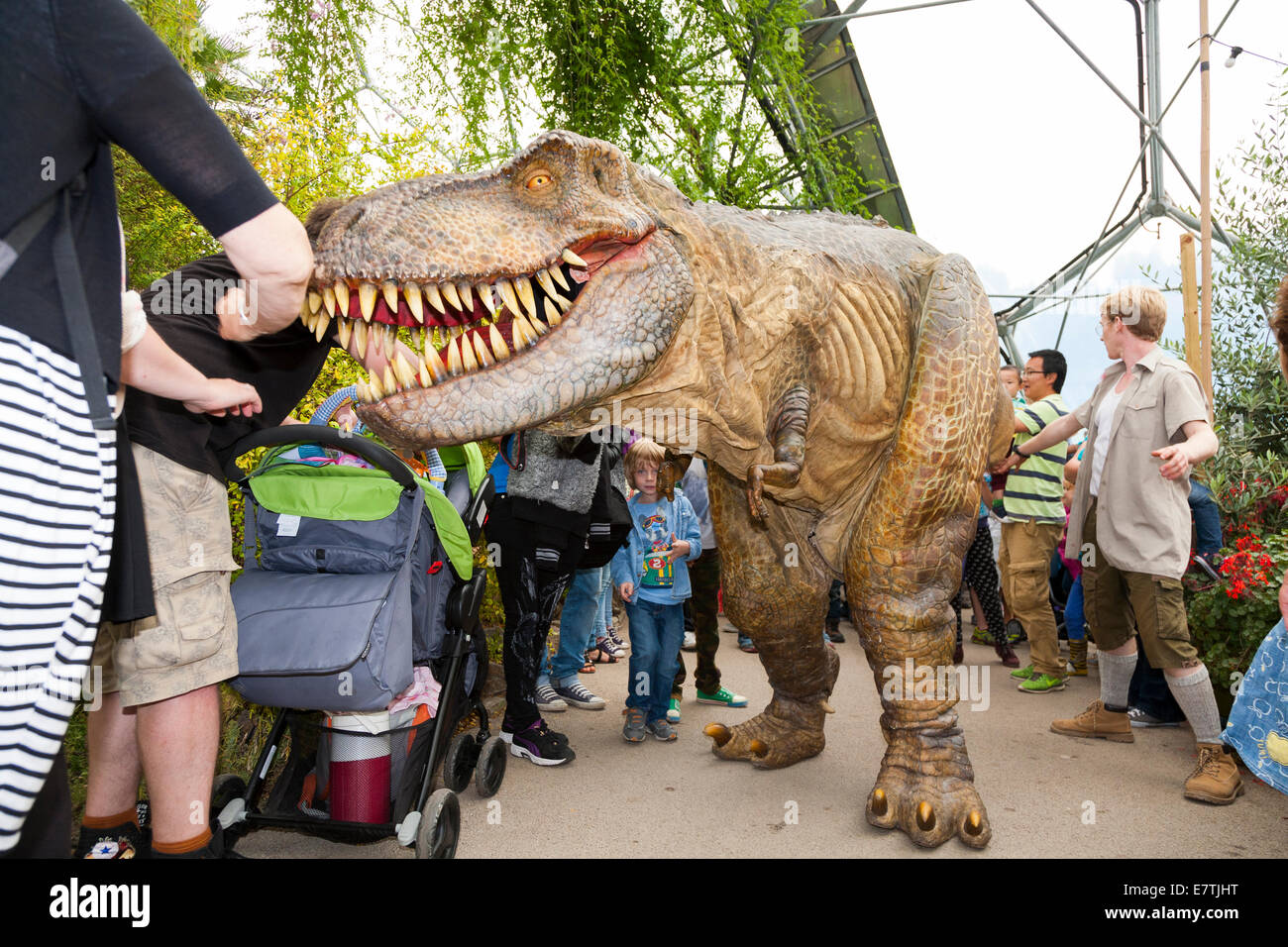 Un dinosauro sulla loose (con protezioni) intrattiene i bambini e le famiglie al Progetto Eden in Bodelva, Saint Austell Cornwall Regno Unito Foto Stock