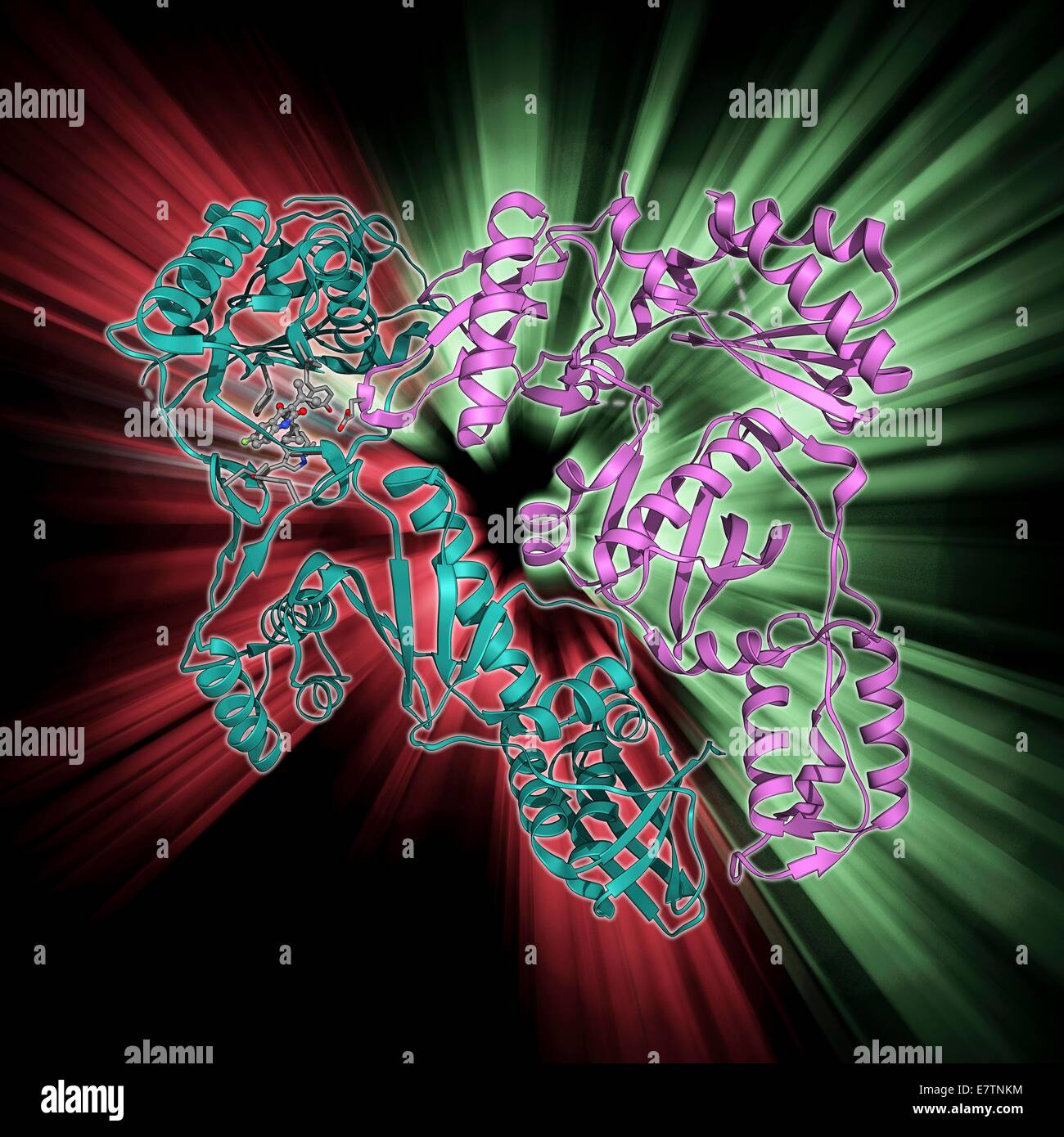 La trascrittasi inversa e un inibitore. Il modello molecolare della trascrittasi inversa di HIV complessato con inibitore della trascrittasi inversa non nucleosidica farmaco. Foto Stock