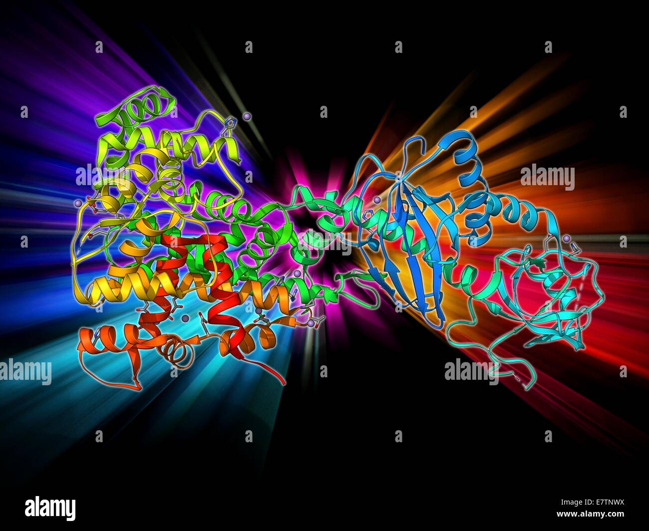 L'interferenza del RNA proteina, modello molecolare. Questa interferenza di RNA proteina è anche noto come granulatrice a cilindretti. Si tratta di un RNAase un enzima che scinde RNA a doppio filamento in brevi frammenti chiamati piccoli RNA interferenti (siRNA). Foto Stock