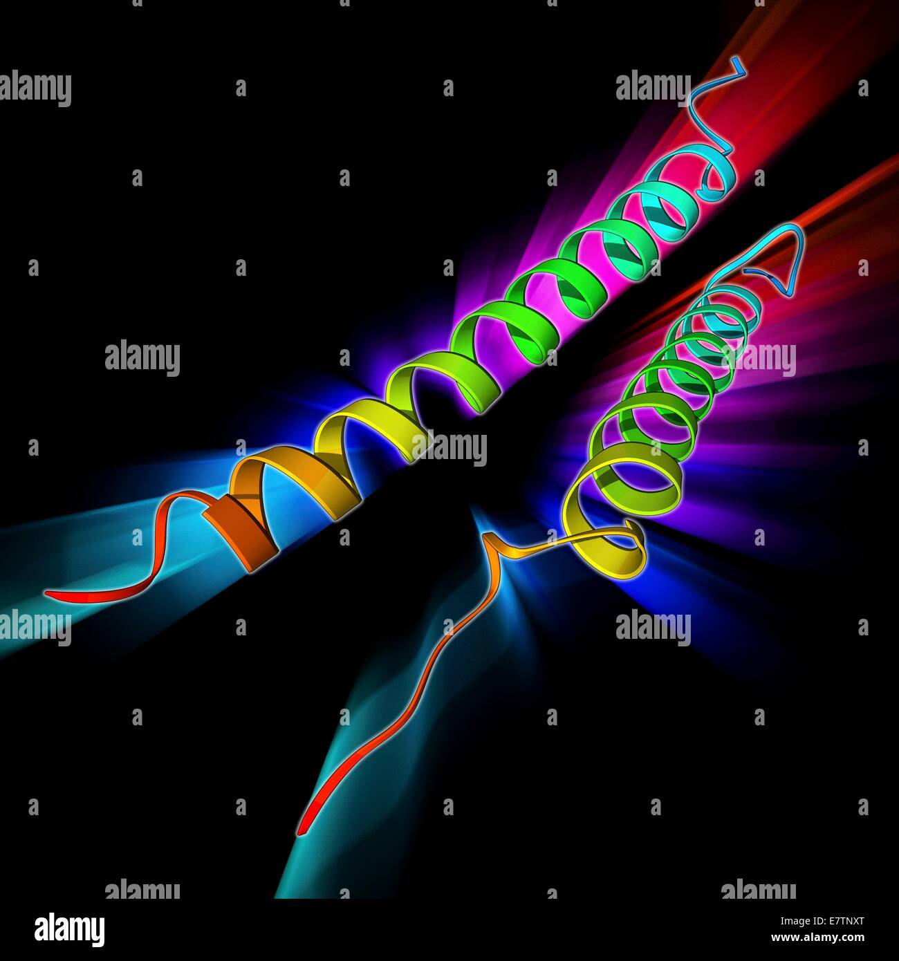 Integrina dominio transmembrana, modello molecolare. Le integrine sono celle di transmembrana di recettori di adesione. Foto Stock