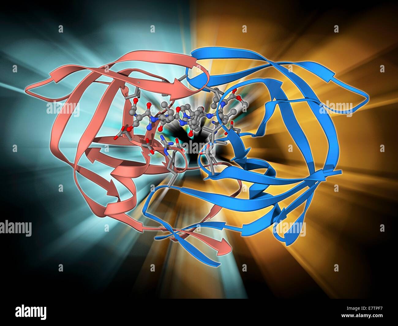 Delle proteasi HIV-1 inibitore di e. Il modello molecolare dell'enzima HIV proteasi-1 (rosa e blu nastri) legato ad una molecola di inibitore (centro). Questo enzima, da HIV (il virus di immunodeficienza umana), scinde poliproteine virali in proteine funzionali che sono Foto Stock