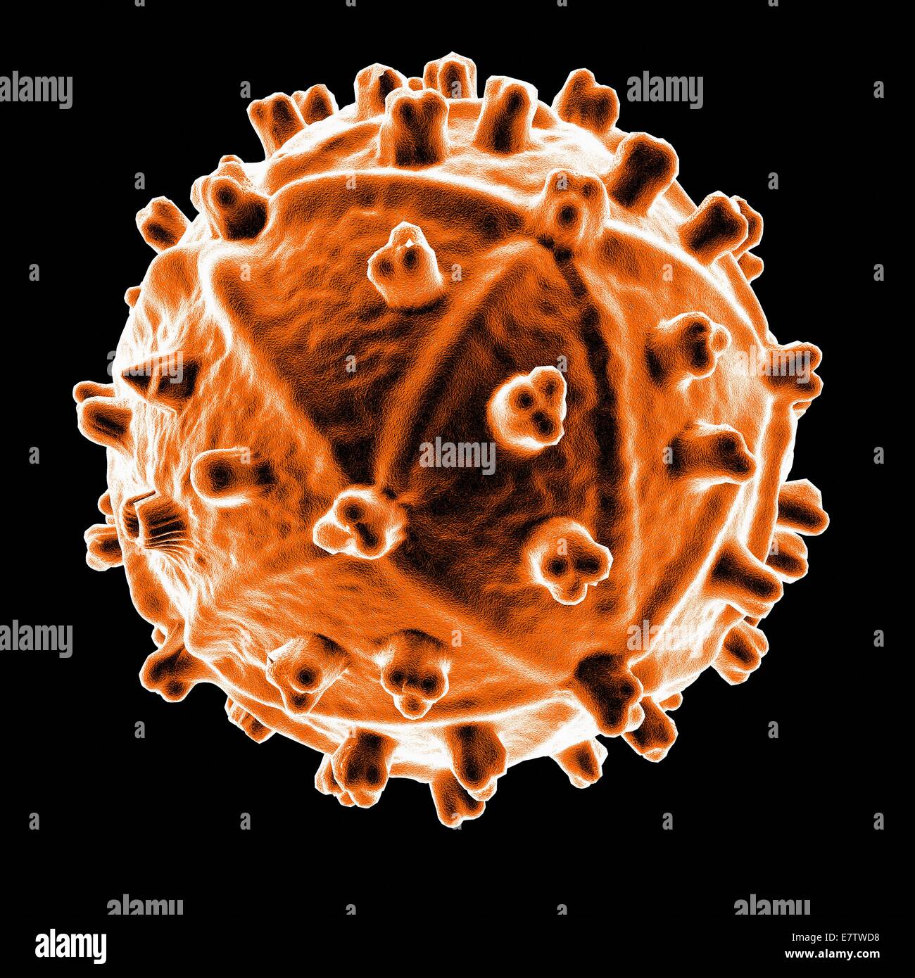 Il virus di immunodeficienza umana (HIV), computer grafica. Foto Stock