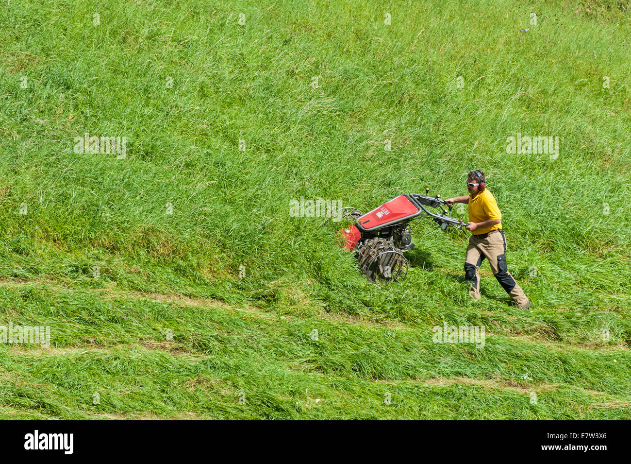 Falciatrice svizzera immagini e fotografie stock ad alta risoluzione - Alamy