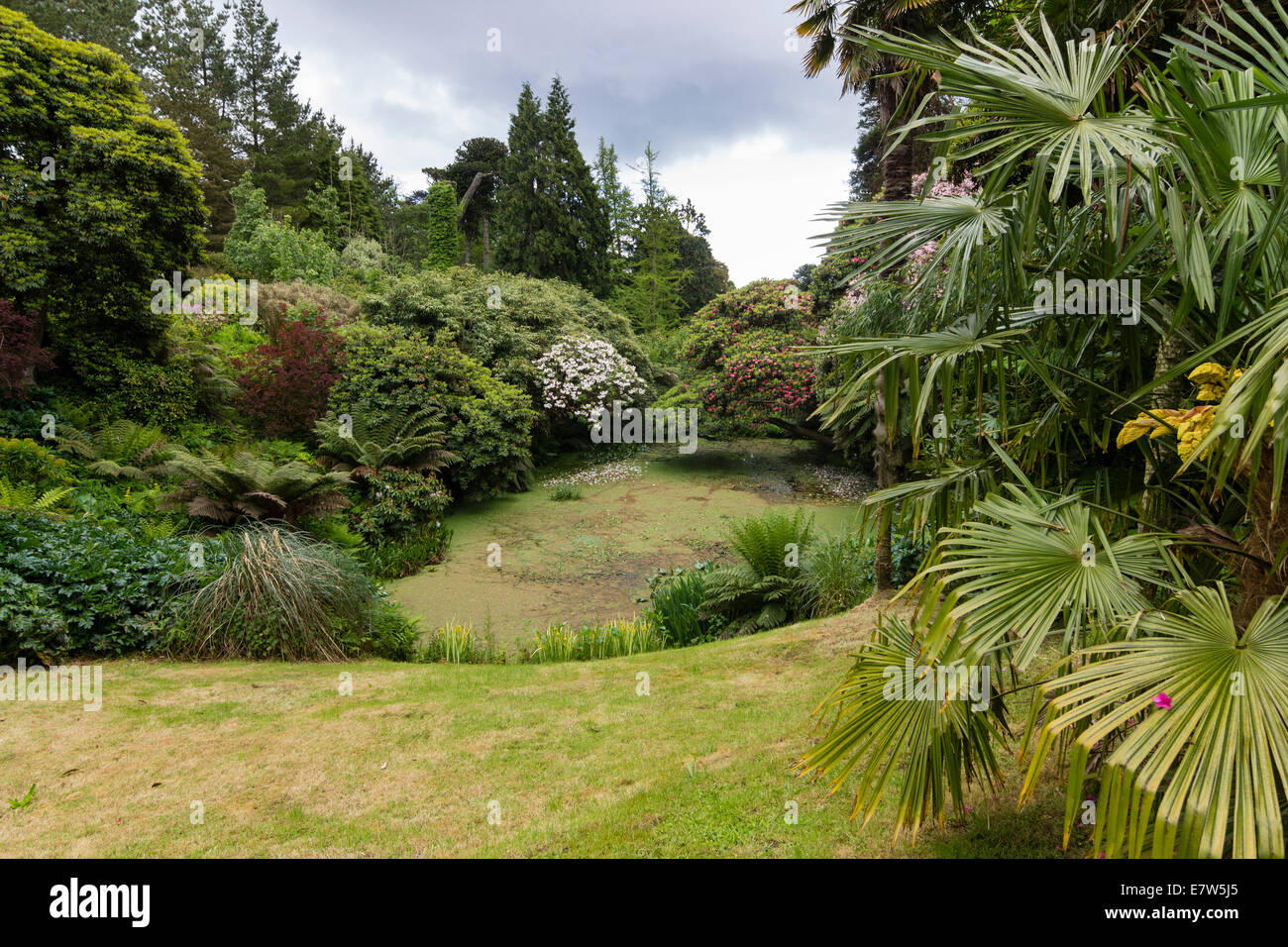 Vista dell'ingresso alla Giungla di Heligan, vicino Mevagissey, Cornwall Foto Stock