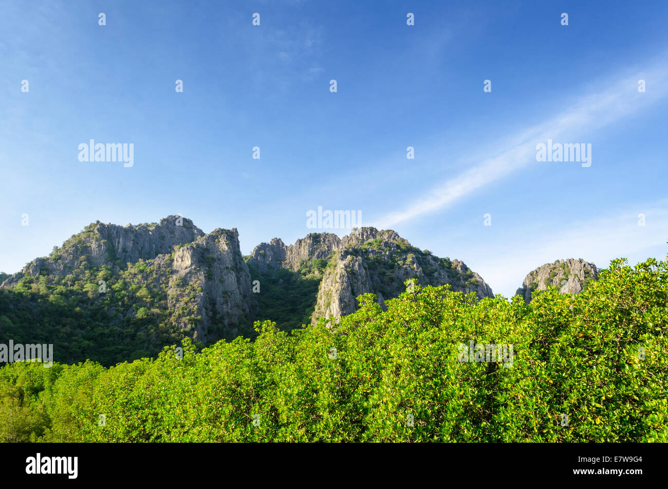 La montagna e la foresta di mangrovie sul cielo blu sullo sfondo Foto Stock