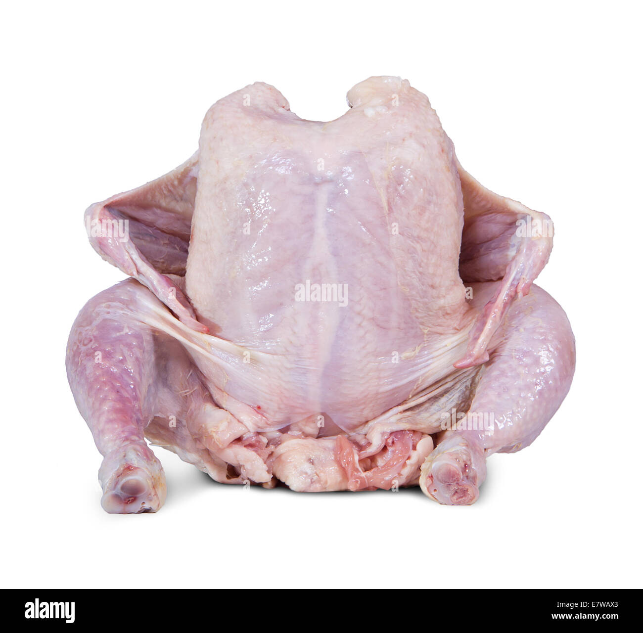 Il pollo crudo seduto su uno sfondo bianco Foto Stock