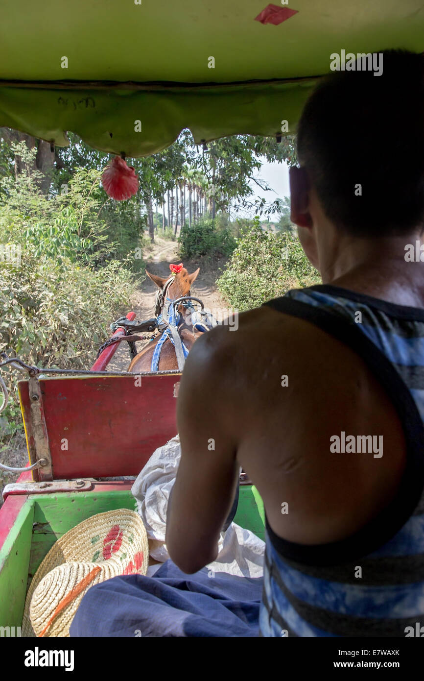 Tradizionale carrozza trainata da cavalli all'Ava Foto Stock