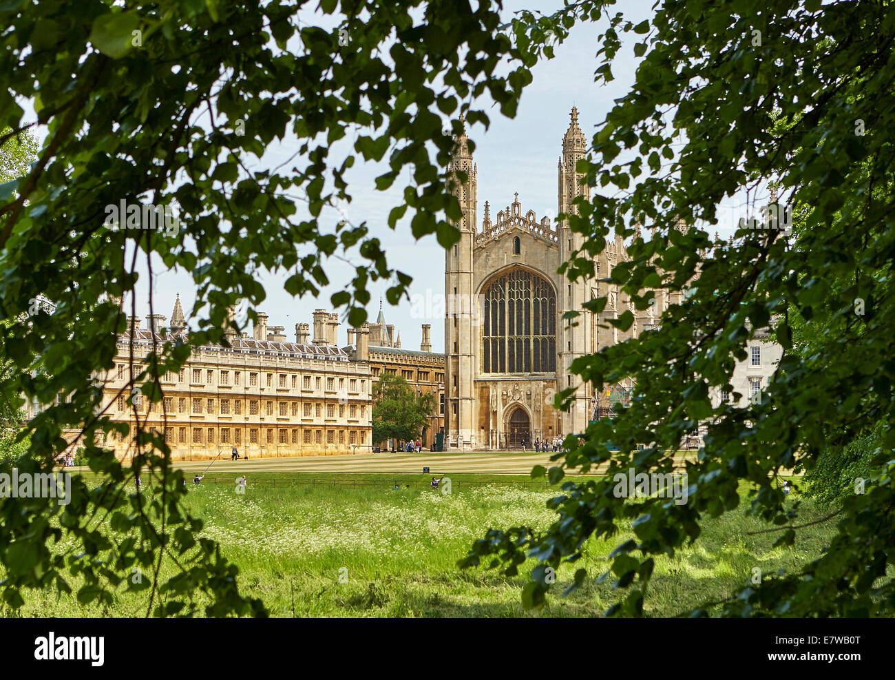 Kings College di Cambridge Foto Stock