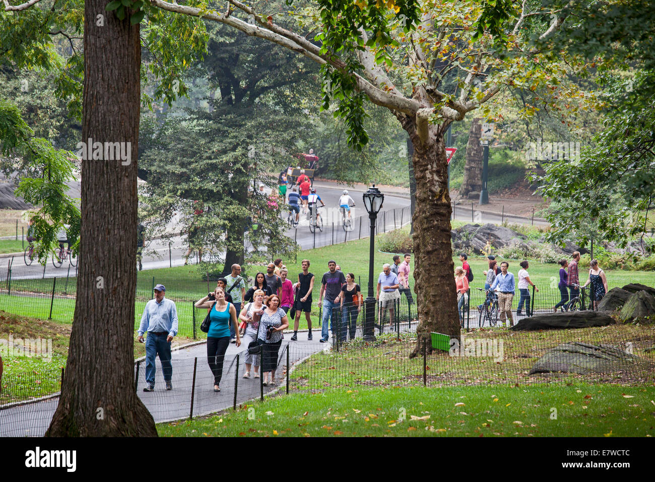 New York New York - la gente a piedi e in bicicletta nel parco centrale. Foto Stock