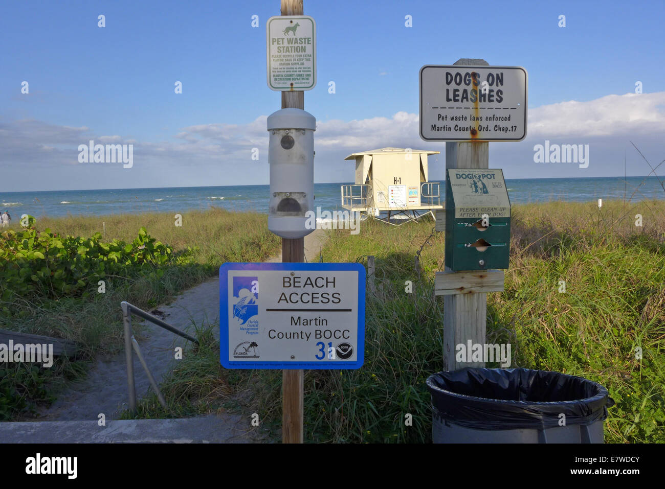 Regolamento cane segni sul Hobe Sound Beach Giove Isola Florida Foto Stock