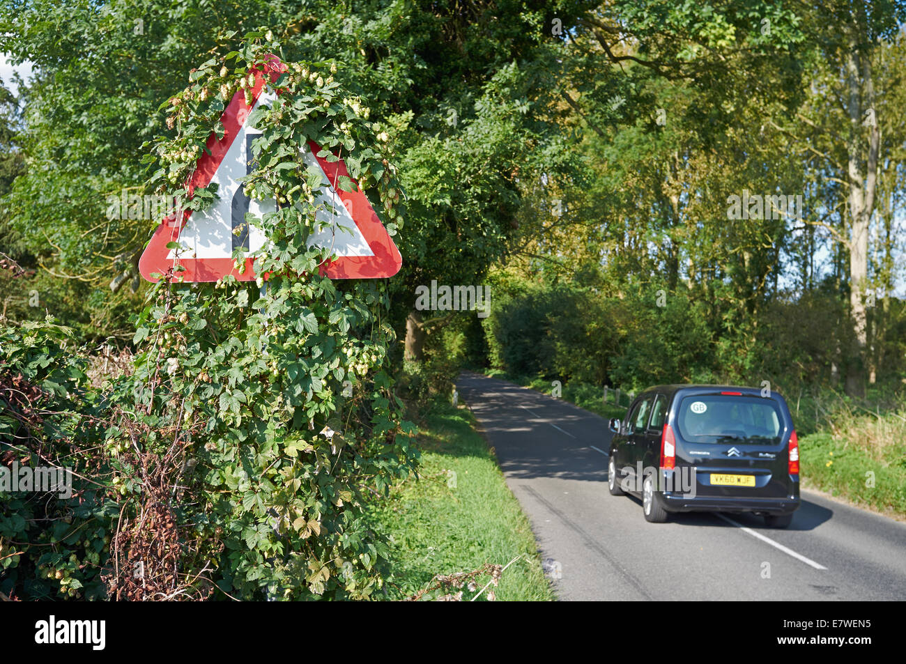 Strada si restringe cartello stradale nascosta dal luppolo selvatico, Clopton, Suffolk, Regno Unito. Foto Stock