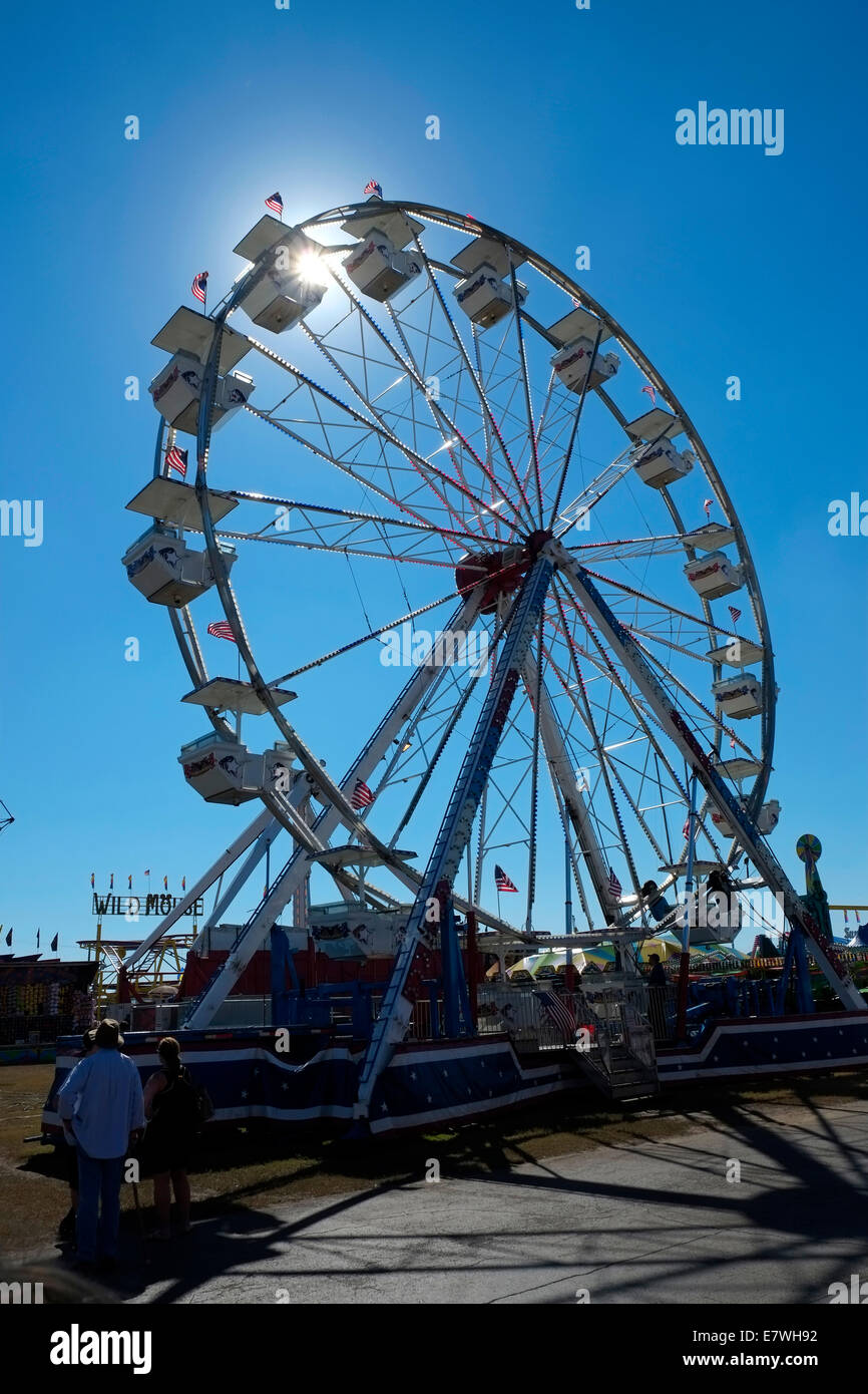 Ruota panoramica Ferris Florida State Fair Tampa FL Foto Stock