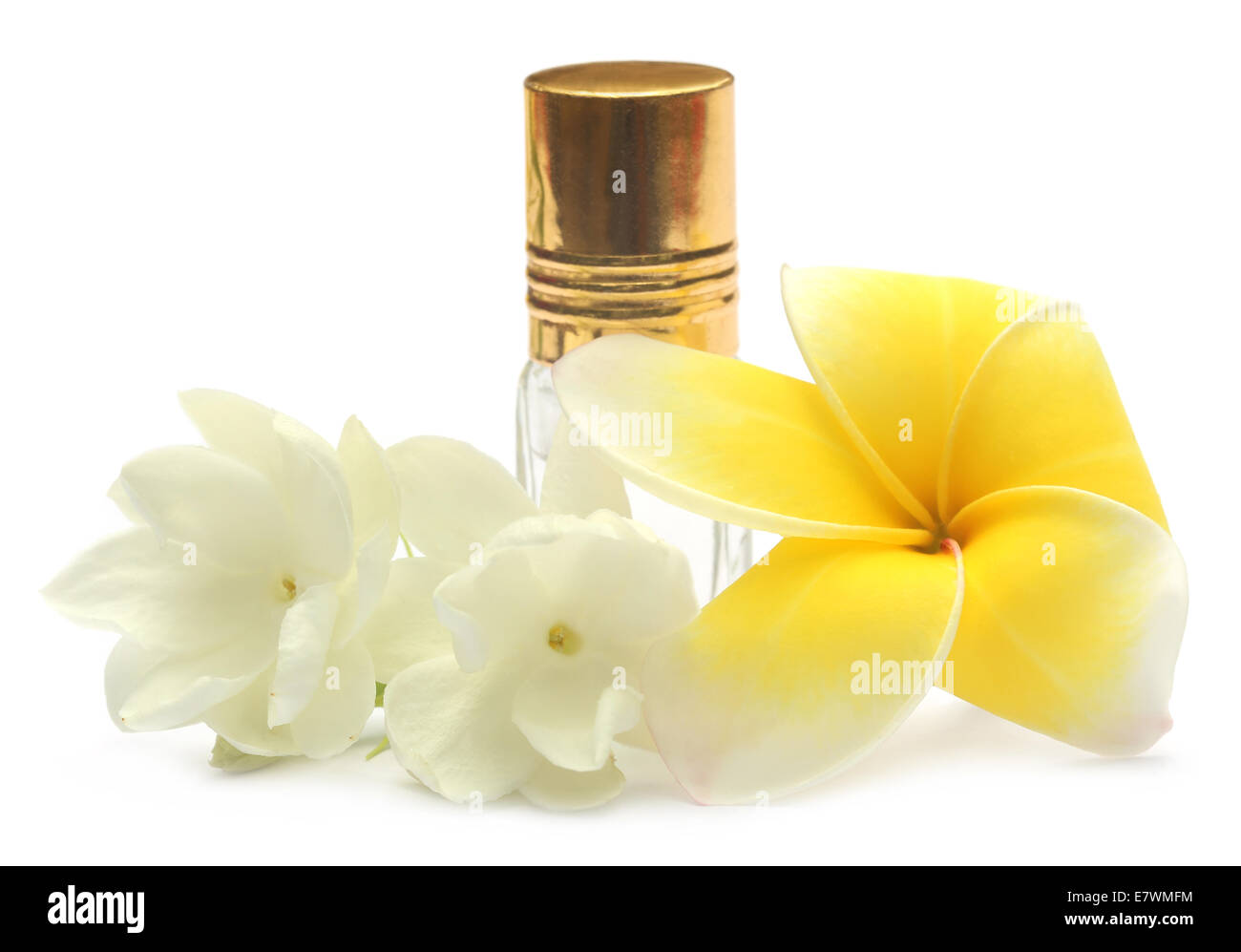 Fiori di gelsomino e frangipani con bottiglia di profumo su sfondo bianco Foto Stock