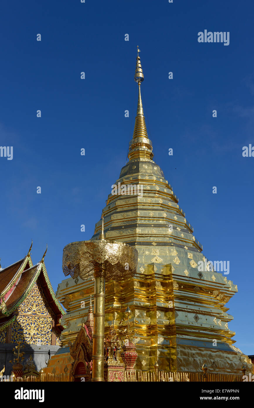 Golden Chedi di Wat Phra That Doi Suthep Temple, Chiang Mai, Thailandia del Nord della Thailandia Foto Stock