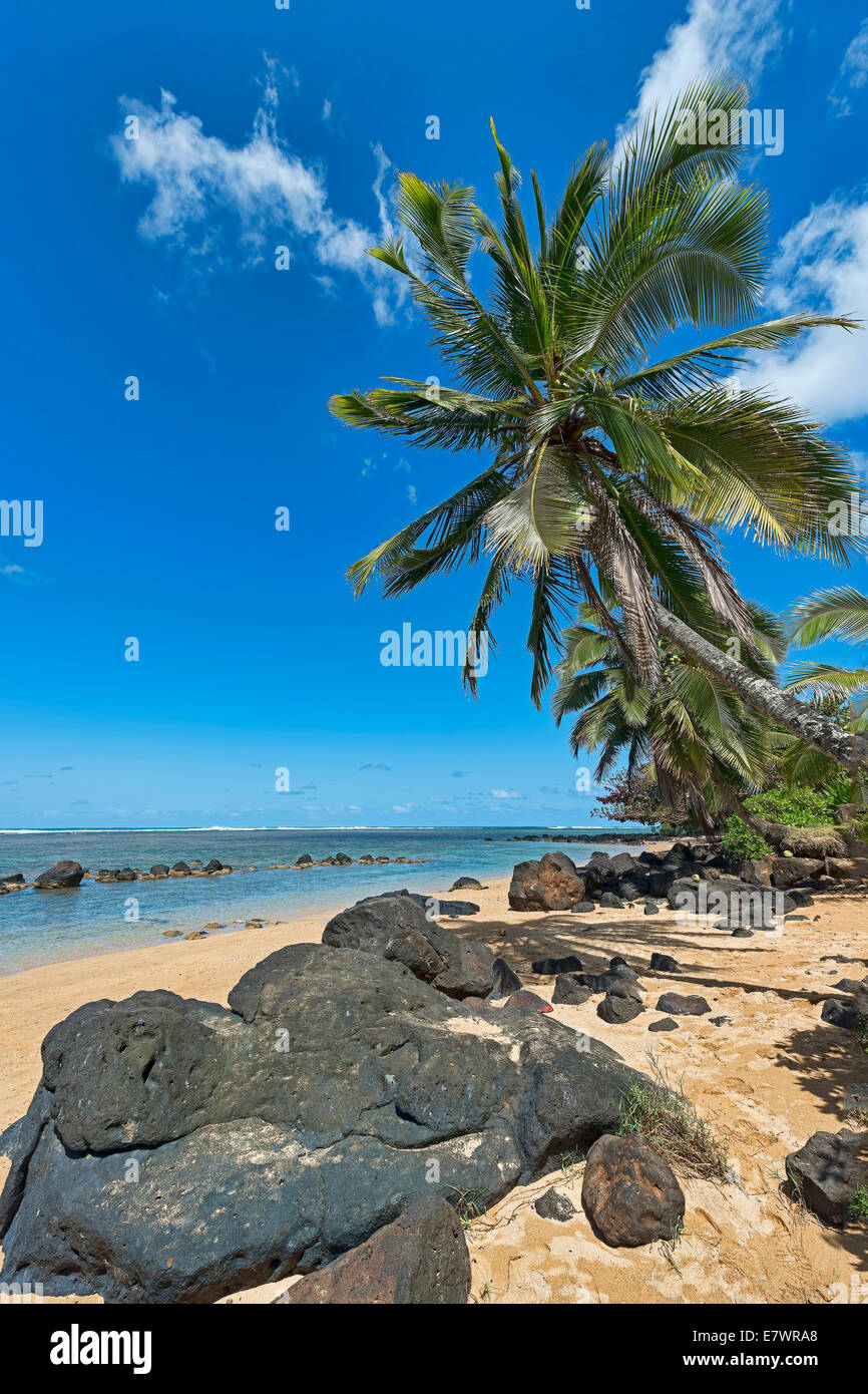 Palme e rocce laviche sulla spiaggia, Kaua'i, Hawaii, Stati Uniti Foto Stock