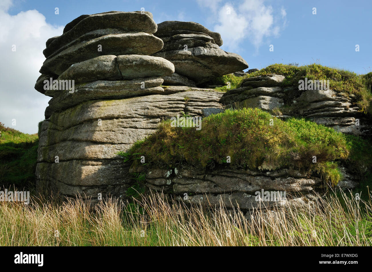 Bellever Tor, vicino Postbridge, Dartmoor granito sperone di roccia Foto Stock