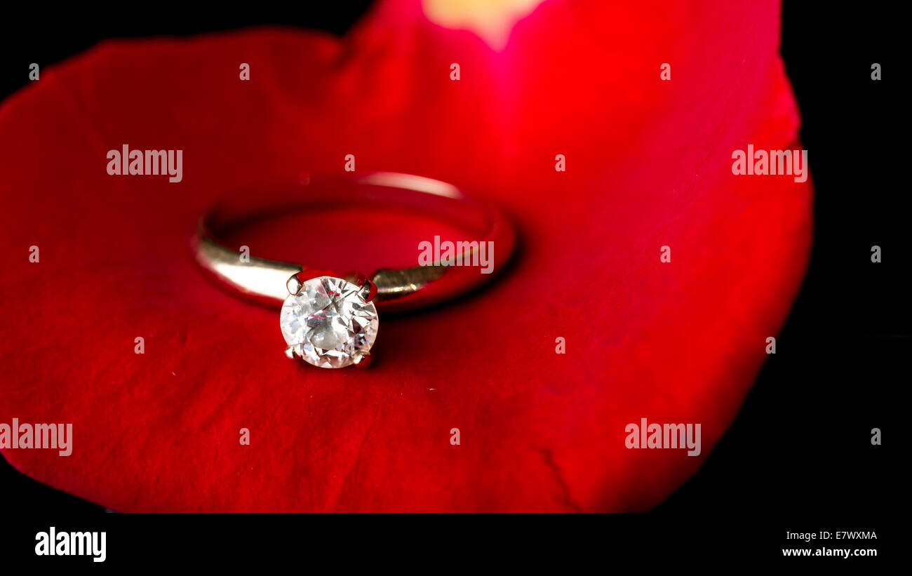 Il regalo perfetto per San Valentino, un anello di fidanzamento su una rosa rossa Foto Stock