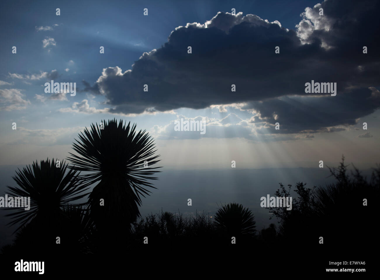 Cerro Quemado montagna in Wirikuta, Real de Catorce, San Luis Potosi, Messico. Foto Stock