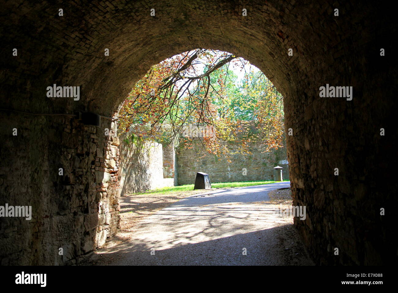 Vista da sotto le mura medievali della città di Lucca, Italia Foto Stock