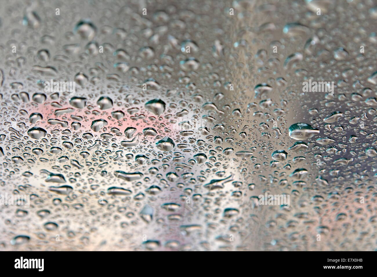 Gocce d'acqua sulla finestra Auto in Car Wash, Paesi Bassi Foto Stock