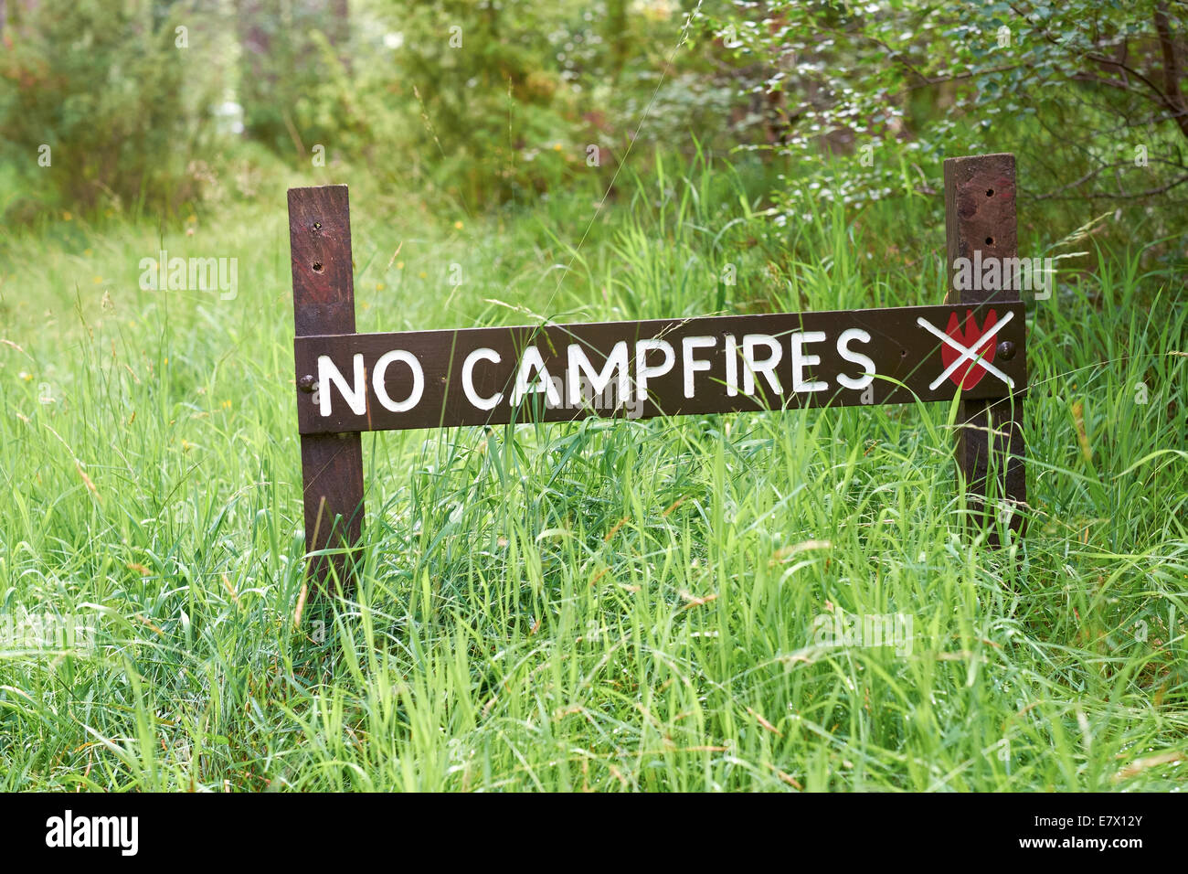 No camp Rothiemurchus incendi di foresta, Cairngorms. Foto Stock