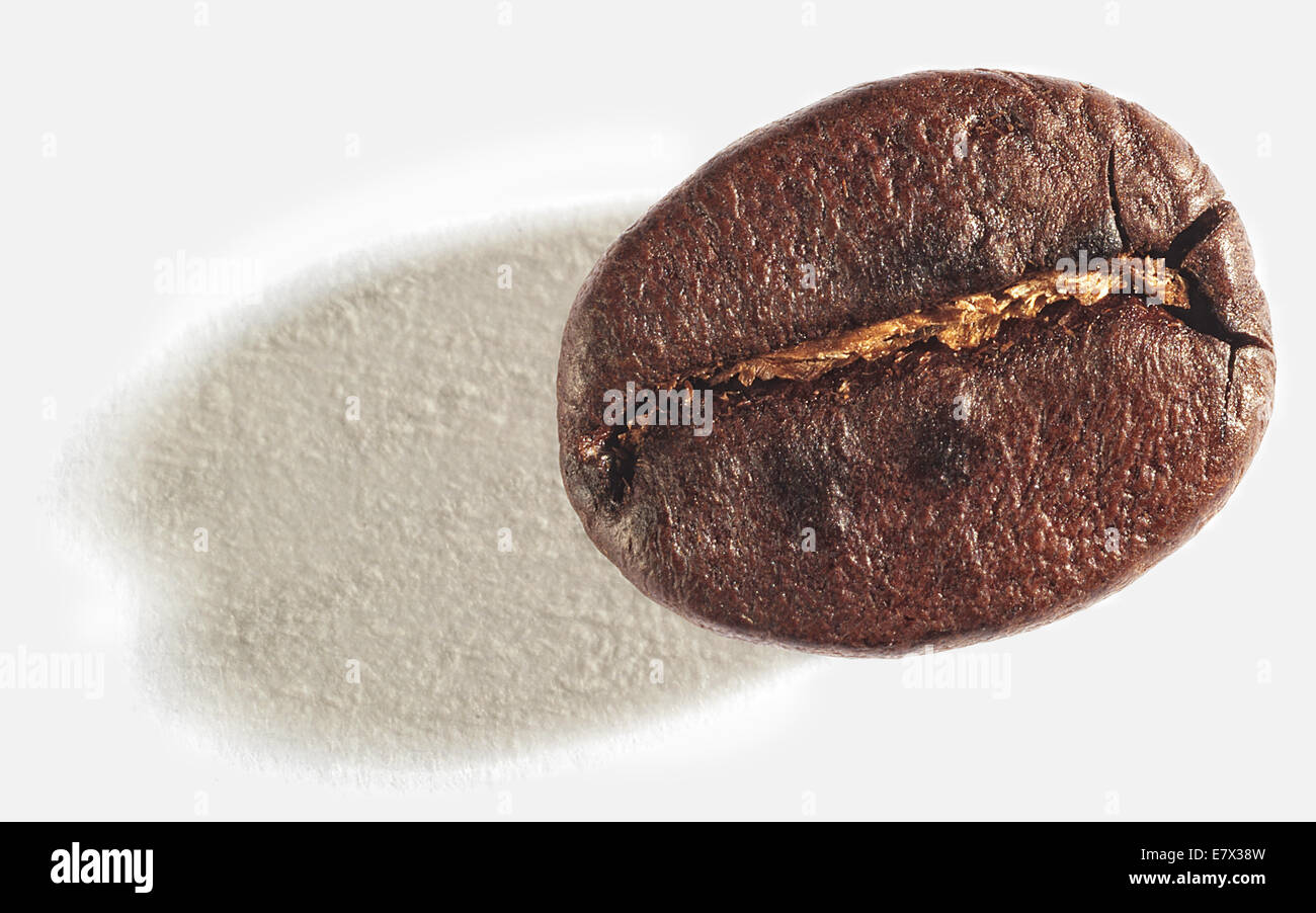 chicco di caffè Foto Stock