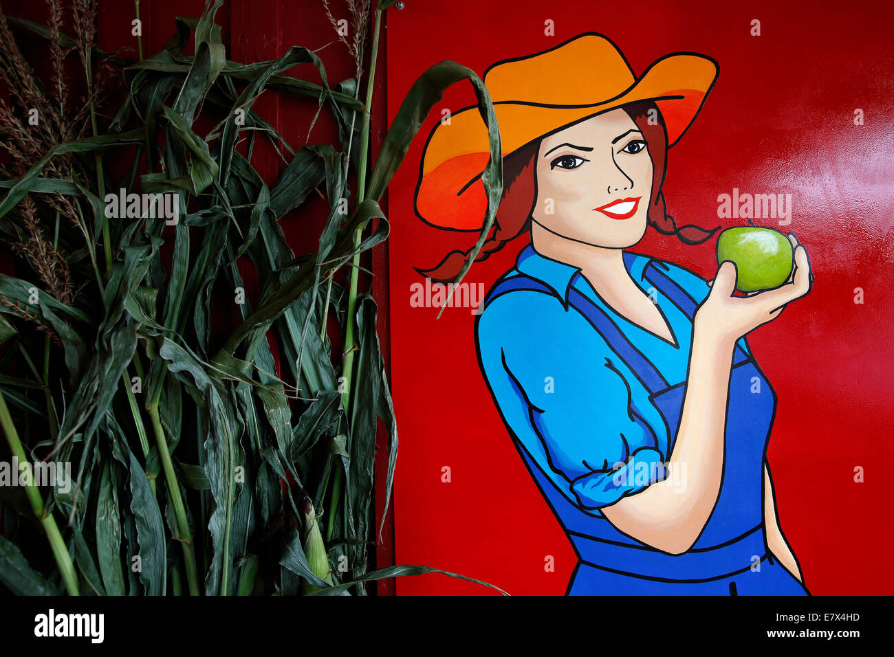 Farm stand dettaglio, Cape Breton Island, Nova Scotia, Canada Foto Stock